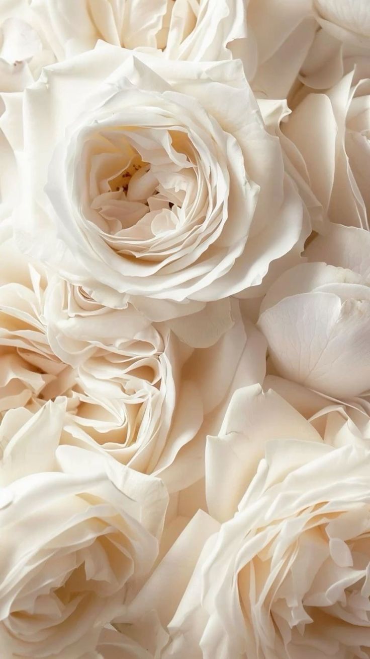 The Voice In The Sunset 20ml - Technical Panel 3