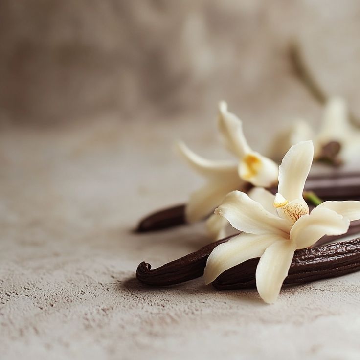 The Voice Of A Desert Rose 50ml - Technical Panel 4