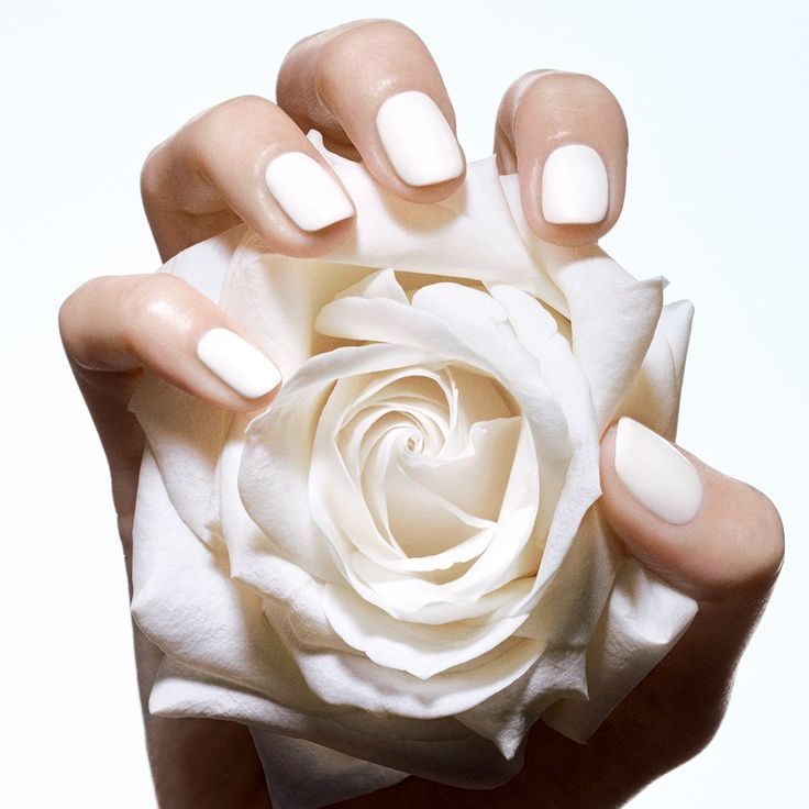 Pure Rose 20ml - Technical Panel 2