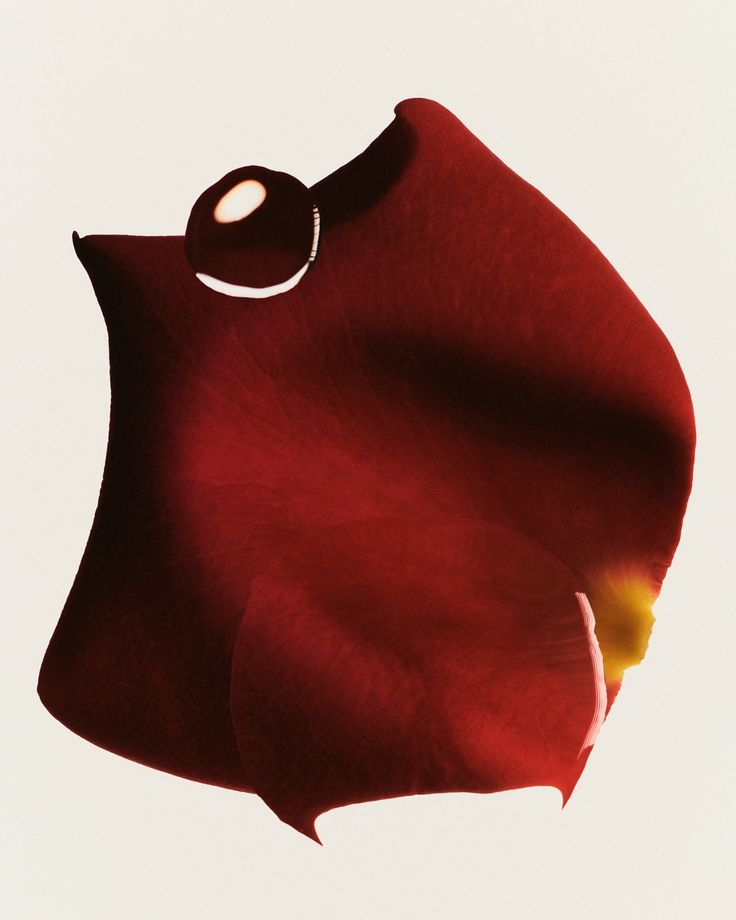 The Voice Of Burning Cherries 50ml  - Technical Panel 4